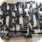 Firearms