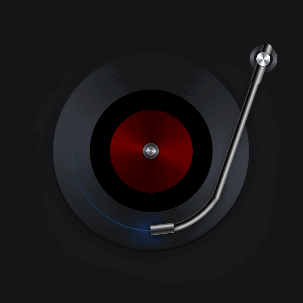 Vinyl Record Ultrasonic cleaner