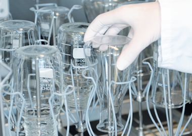Granbo Glassware Ultrasonic Cleaner 3